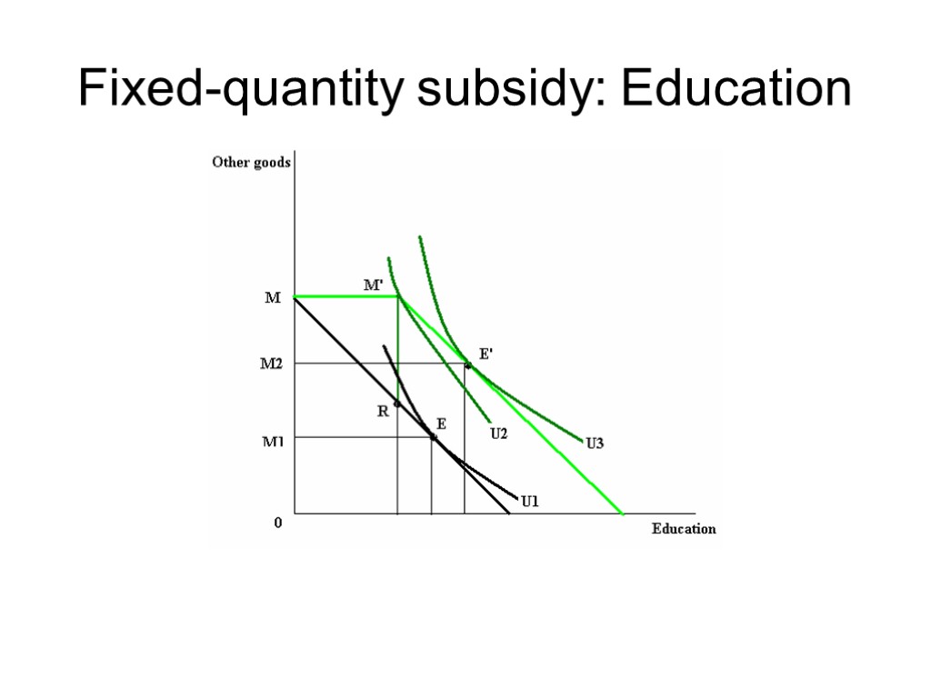 Fixed-quantity subsidy: Education